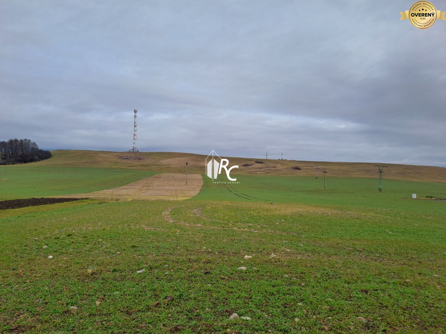 20260214_093553.jpg